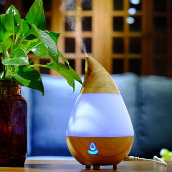 Taffware Air Humidifier Aromatherapy Diffuser Wood 235ml - HUMI AJ-215 ...