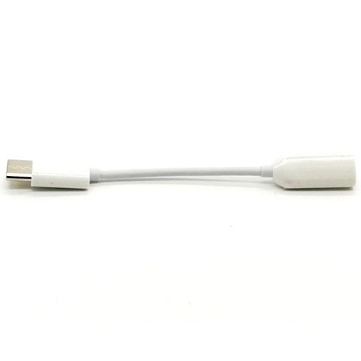 Gambar produk Xiaomi Kabel Adapter USB Type C to 3.5mm AUX Audio