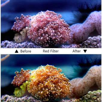 Gambar produk Telesin Lensa Red Diving Filter Lens GoPro Hero 5/6/7 Case GP-WTP-501