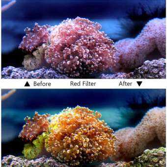 Gambar produk Telesin Lensa Red Diving Filter Lens GoPro Hero 5/6/7 Case GP-WTP-501