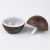 Gambar produk Taffware HUMI Car Mini Air Humidifier Aromatherapy Wood 130ml - JKC01