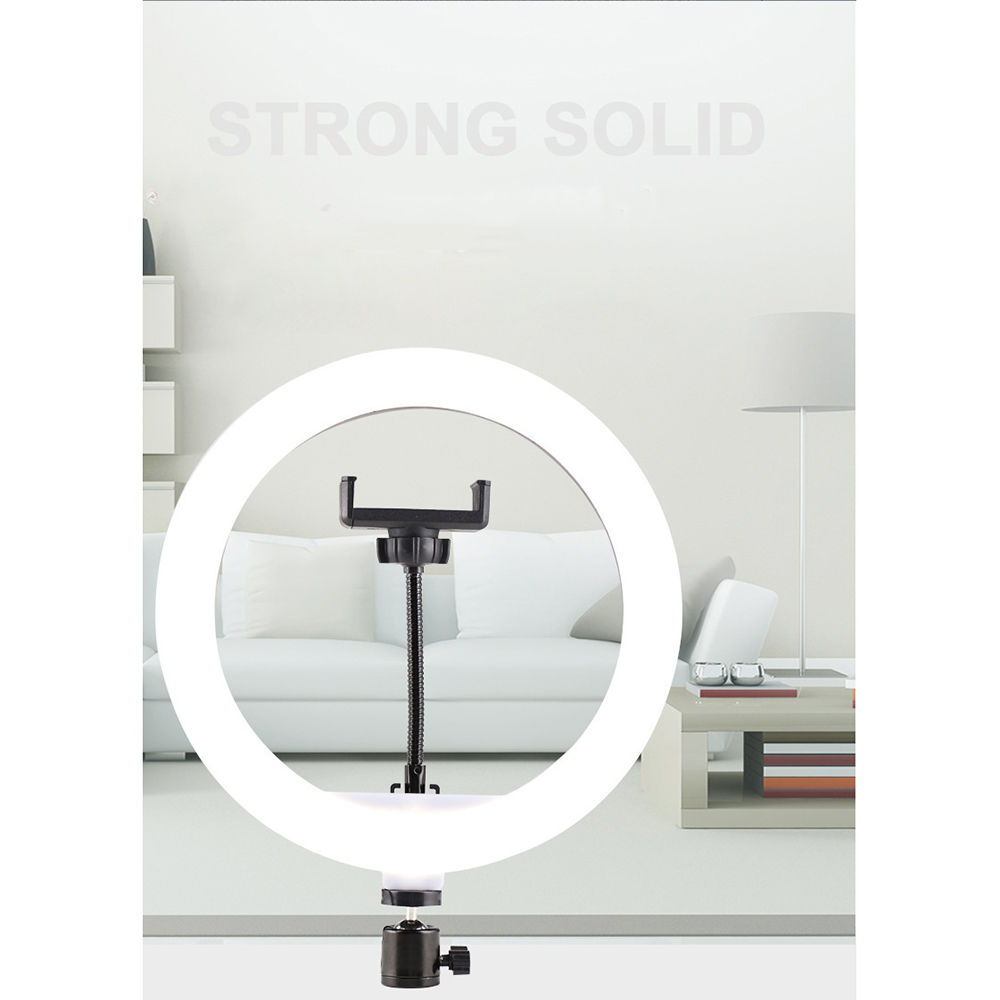 B-Light Lampu Halo Ring Light LED Kamera 10W 120 LED 12 Inch - CXB-300 Gambar produk B-Light Lampu Halo Ring Light LED Kamera 10W 120 LED 12 Inch - CXB-300 - 6