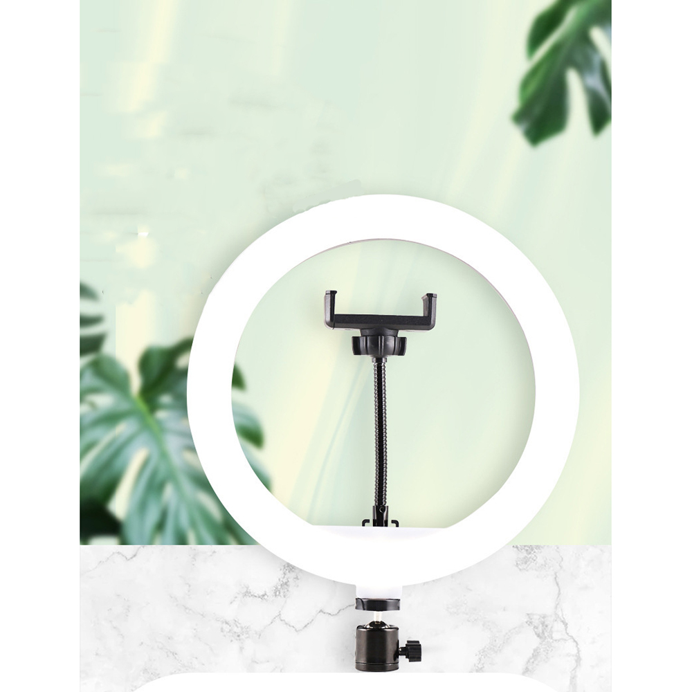 B-Light Lampu Halo Ring Light LED Kamera 10W 120 LED 12 Inch - CXB-300 Gambar produk B-Light Lampu Halo Ring Light LED Kamera 10W 120 LED 12 Inch - CXB-300 - 5