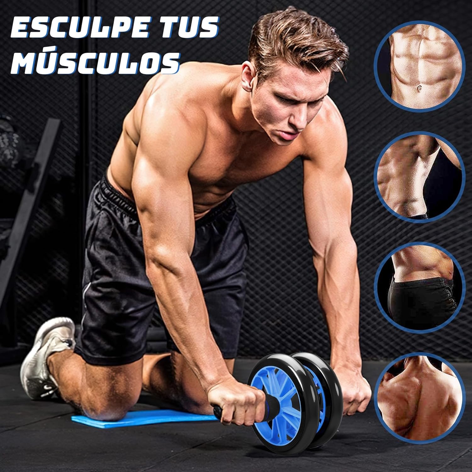 Gambar produk TOMSHOO Alat Gym Fitness Roller Push Up Bar Hand Grip 5 in 1 - TS002