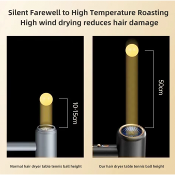 Gambar produk HOMEFISH Pengering Rambut Professional Hair Dryer Hot Cold 2400W - F33