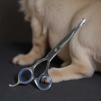 Gambar produk Dtog Set Gunting Grooming Perawatan Bulu Anjing 7in1 - INU73
