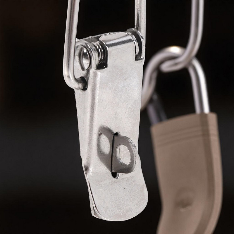 Gambar produk JETTING Kaitan Peti Grendel Koper Kabinet Spring Lock Loaded Buckle Type A - A3
