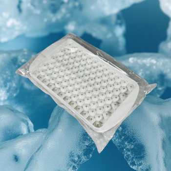 Gambar produk Coky Cetakan Es Batu Jelly Bulat 104 Grid Ice Cube Tray BPA Free - INU77