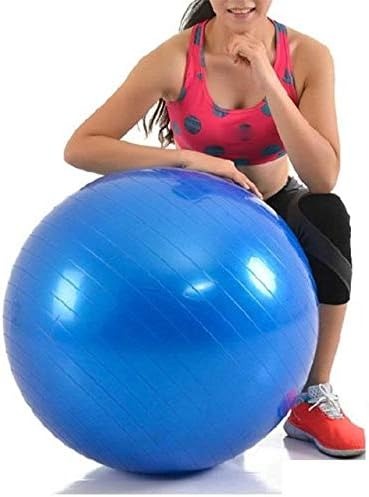 Gambar produk Gym Ball Bola Yoga Pilates Fitness PVC 55cm