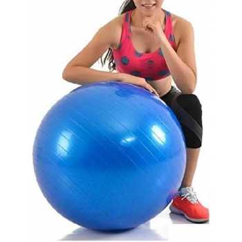 Gambar produk Gym Ball Bola Yoga Pilates Fitness PVC 55cm