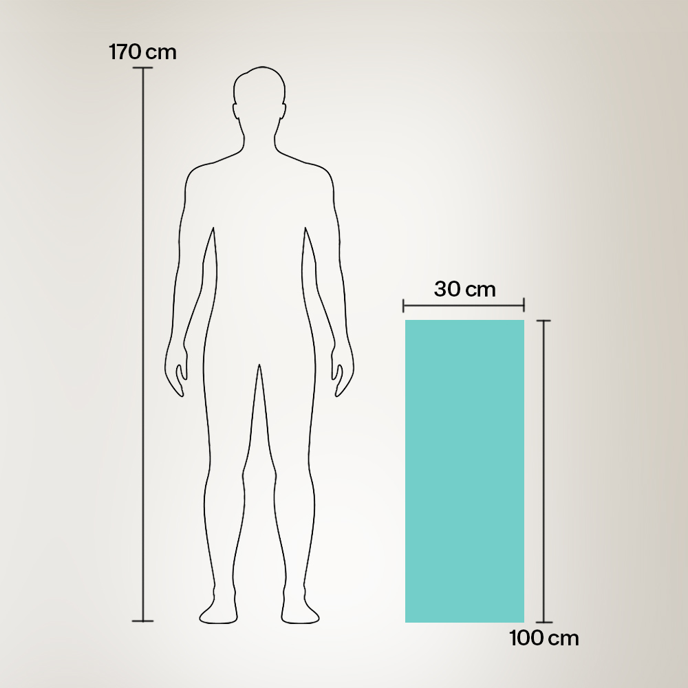 Gambar produk Handuk Microfiber Quick Dry 100x30cm with Storage Bag - W-580