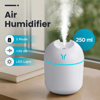 LEIXIU Air Humidifier Mini Ultrasonic Night Light Silent 250ml - L25