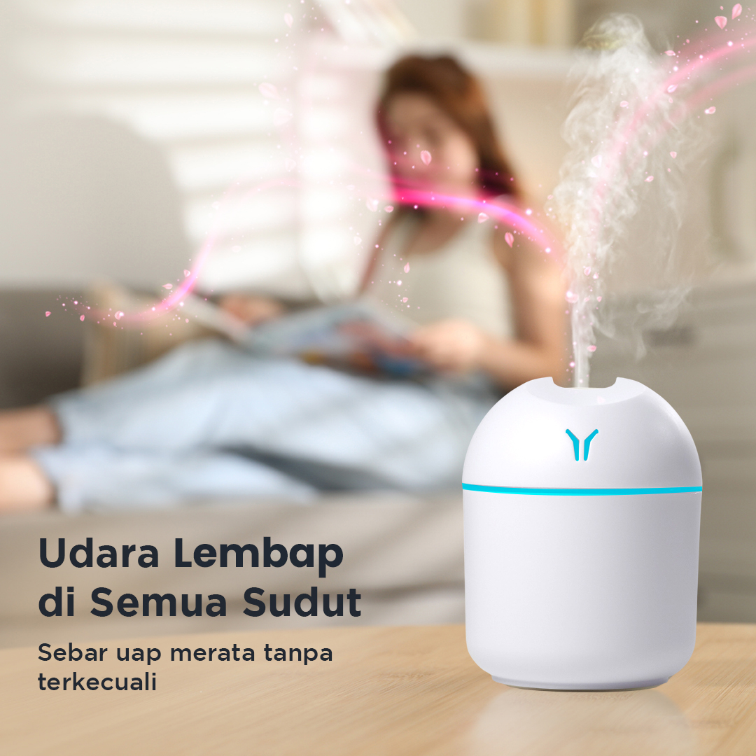Gambar produk LEIXIU Air Humidifier Mini Ultrasonic Night Light Silent 250ml - L25