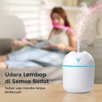 Gambar produk LEIXIU Air Humidifier Mini Ultrasonic Night Light Silent 250ml - L25
