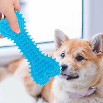 Gambar produk Bonelonov Mainan Anjing Chew Toy Soft Rubber Bite Model Tulang 4 PCS - INU138