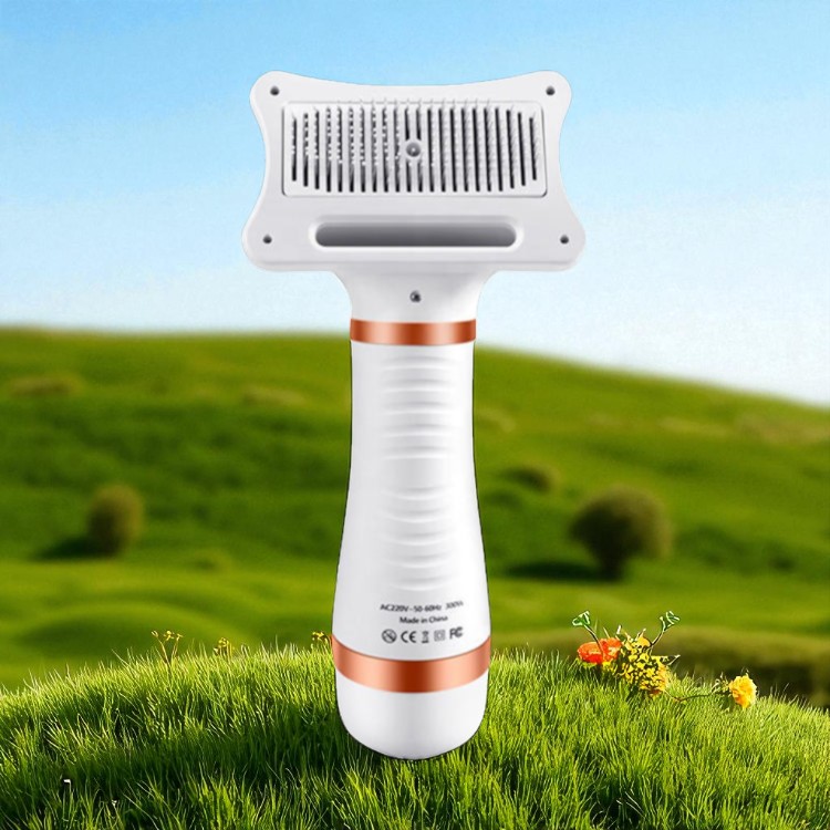 Gambar produk WIDHTER Sisir Pengering Bulu Hewan Anjing Kucing 2 in 1 Portable 300W - HG-HZP-10