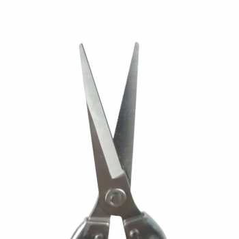 Gambar produk QIAOEN Gunting Tanaman Ranting Bunga Stainless Steel Pruning Scissors - SK-6