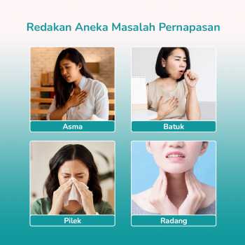 Gambar produk LEGGONG Alat Terapi Pernapasan Mesh Nebulizer Portable Inhaler Plug In - HSK-W005