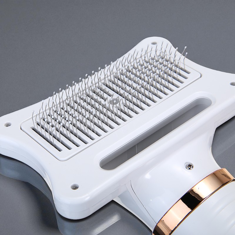 Gambar produk WIDHTER Sisir Pengering Bulu Hewan Anjing Kucing 2 in 1 Portable 300W - HG-HZP-10