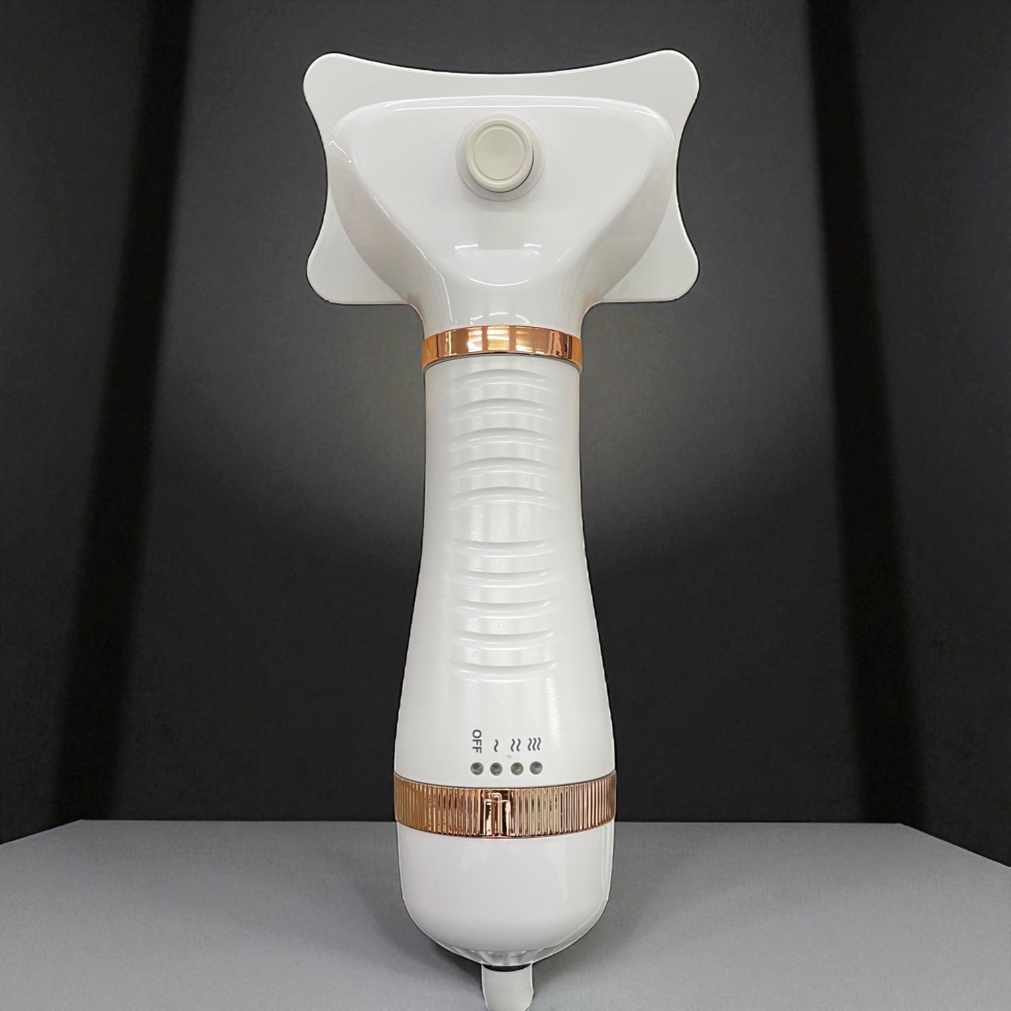 Gambar produk WIDHTER Sisir Pengering Bulu Hewan Anjing Kucing 2 in 1 Portable 300W - HG-HZP-10