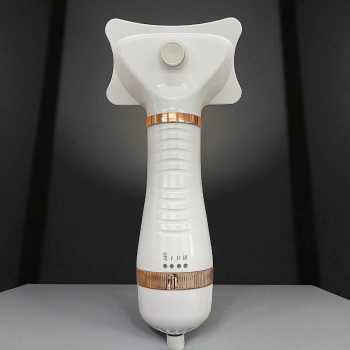 Gambar produk WIDHTER Sisir Pengering Bulu Hewan Anjing Kucing 2 in 1 Portable 300W - HG-HZP-10
