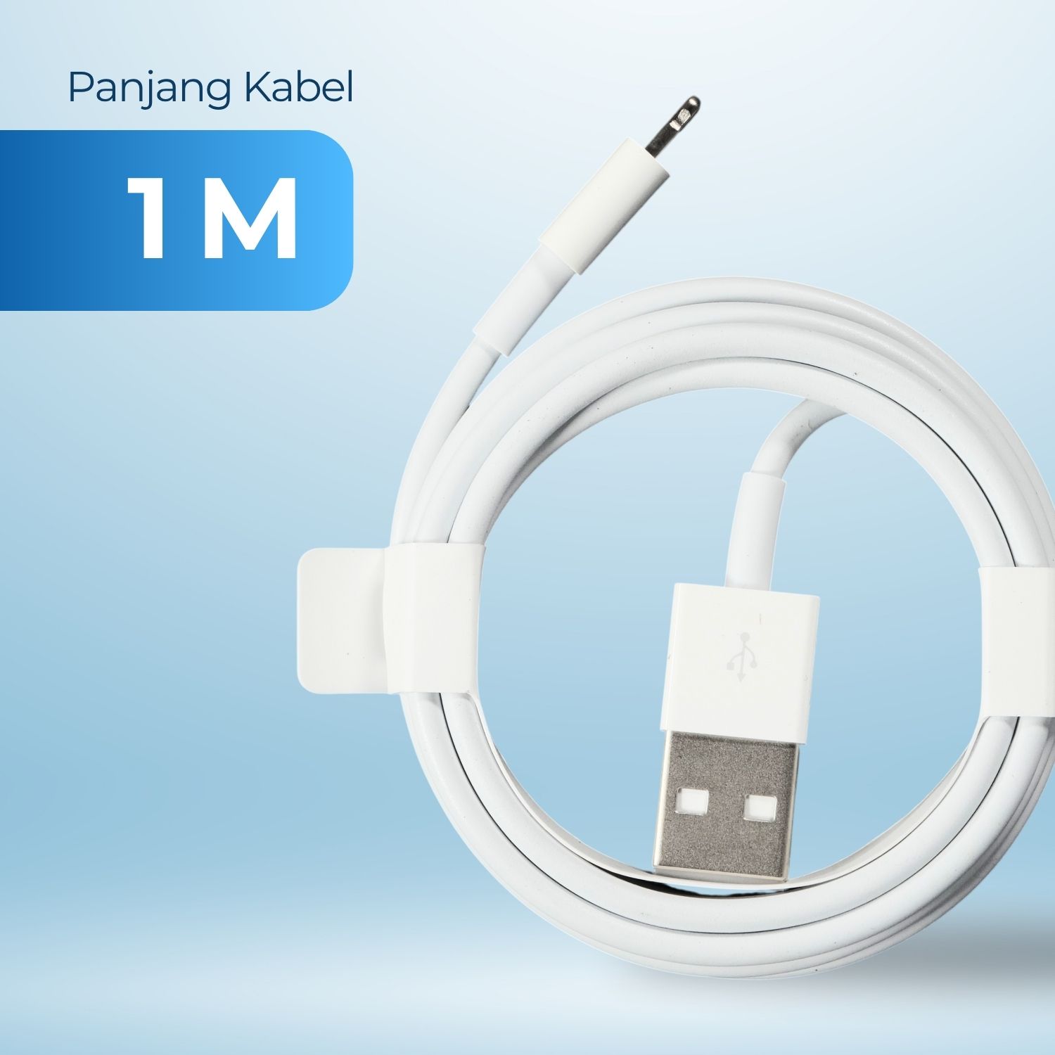 Gambar produk Apple Original Kabel Data Lightning Multifungsi 1M - AO11