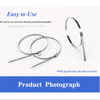 Gambar produk DAYFOR Kabel Ties Stainless Steel 304 Anti Karat Cable Plier 100 PCS 7.9x0.25x500mm - ZDQ2