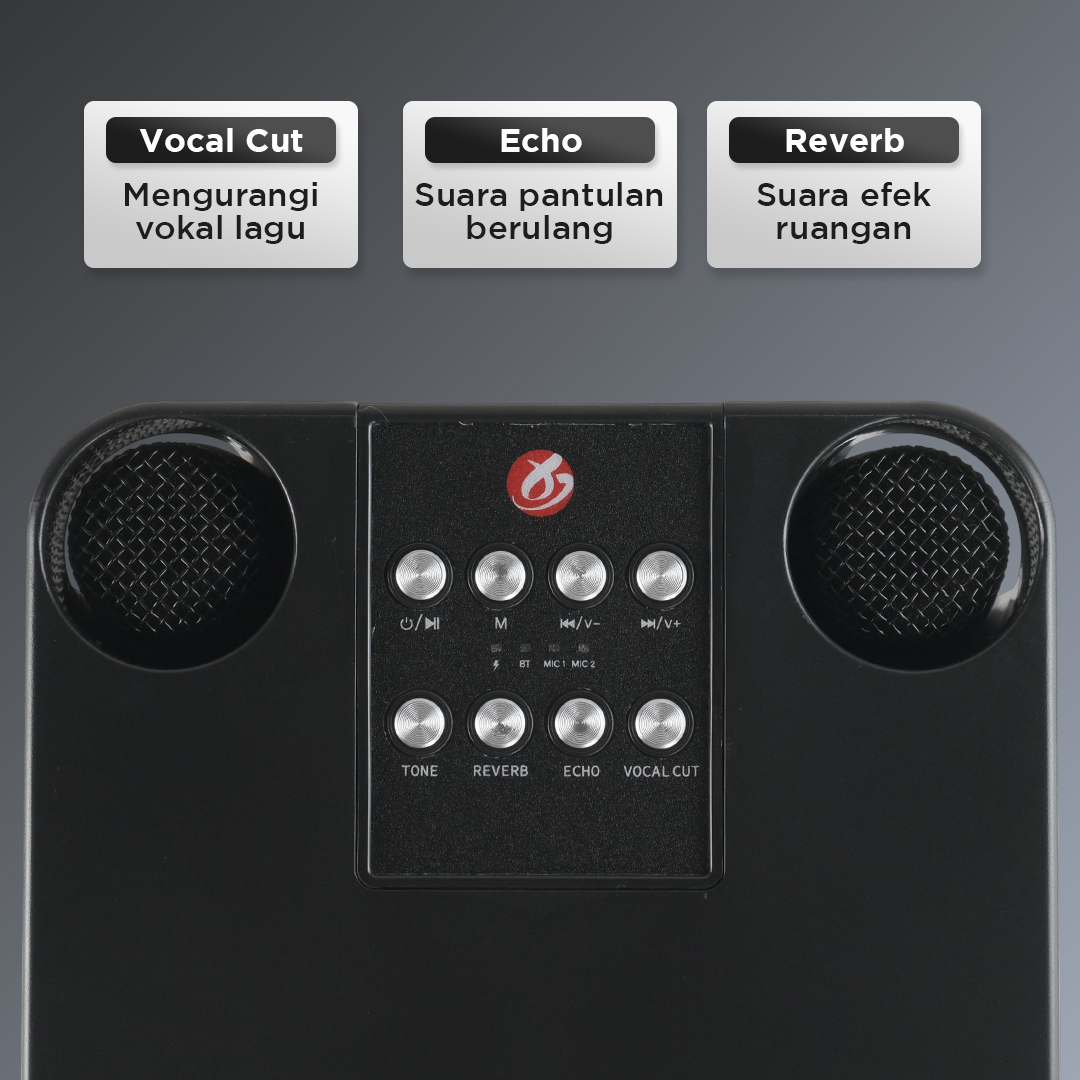 Gambar produk BAFOVY Speaker Bluetooth Karaoke Portable with 2 Microphone 10W - WJ-A826