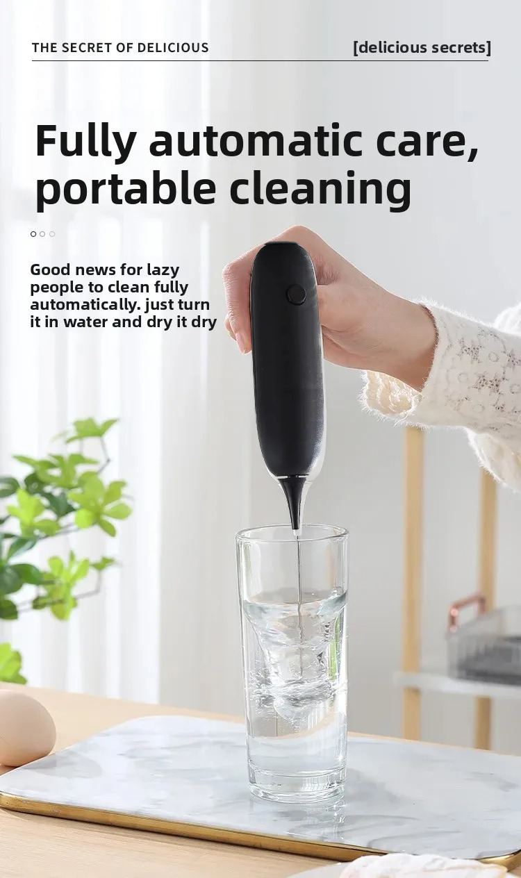 Gambar produk DVZ Hand Mixer Mini Pengocok Telur Kopi Milk Frother without Battery - DV-238