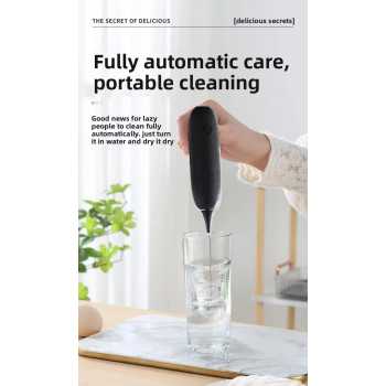 DVZ Hand Mixer Mini Pengocok Telur Kopi Milk Frother without Battery - DV-238