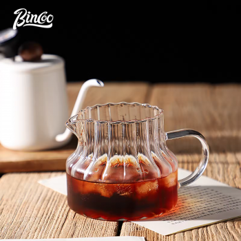 Bincoo Pour Over Coffee Server Borosilicate Glass Carafe 500ml - B-5ML
