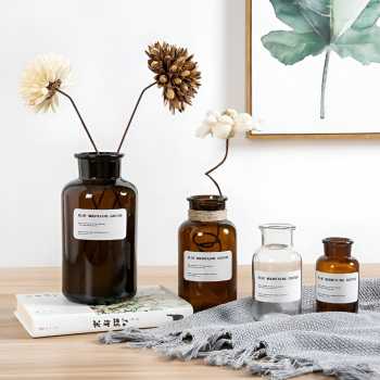 Gambar produk DDSSTORE Vas Bunga Botol Kaca Aesthetic Bottle Vases Flower Pot 500ml - EN549