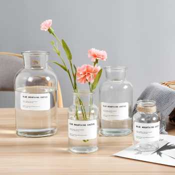 Gambar produk DDSSTORE Vas Bunga Botol Kaca Aesthetic Bottle Vases Flower Pot 500ml - EN549