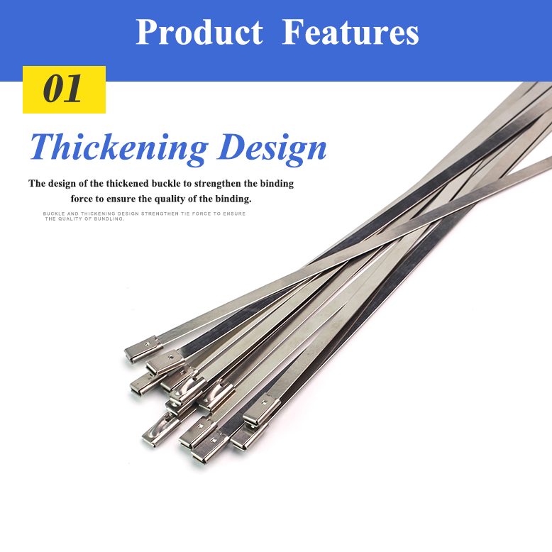 Gambar produk DAYFOR Kabel Ties Stainless Steel 304 Anti Karat Cable Plier 100 PCS 7.9x0.25x500mm - ZDQ2