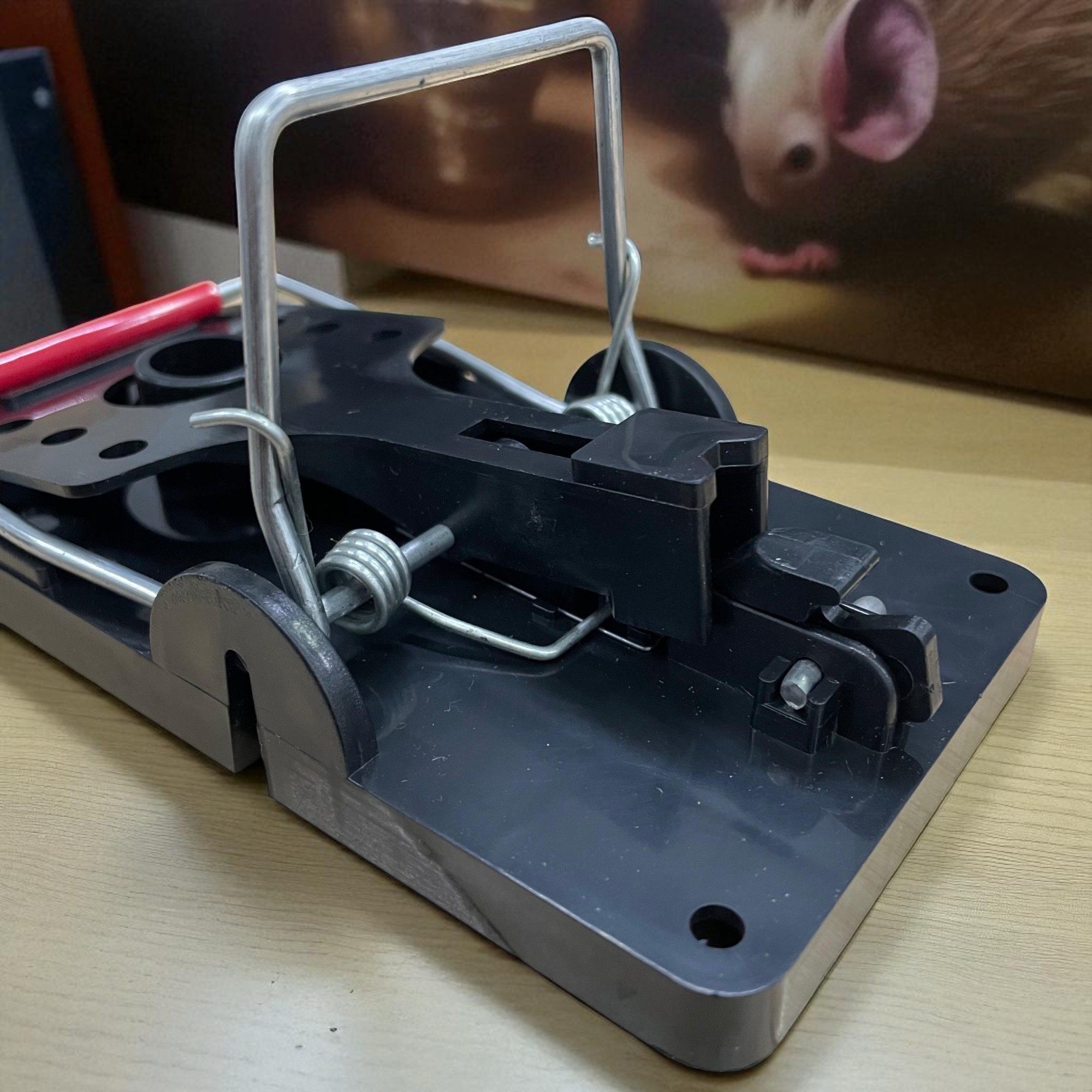 Gambar produk BAIT Jebakan Tikus Jepitan Highly Sensitive Sharp Bite Mousetrap ABS - B-1
