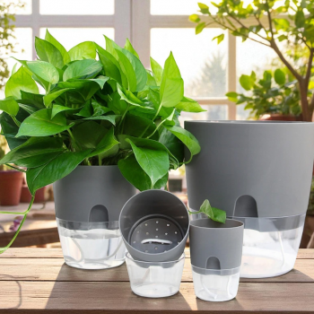Gambar produk Olize Pot Tanaman Hias Self Watering Flower Pot Hydroponics Plants M - A705/A707