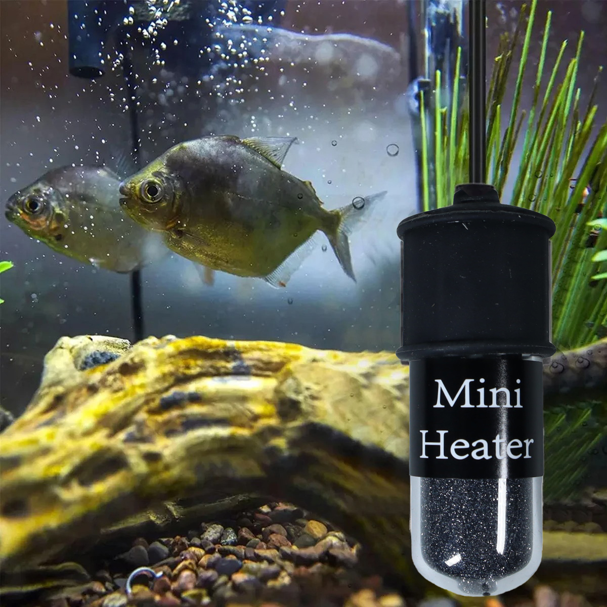 Gambar produk Kisame Aquarium Heater Pemanas Mini Akuarium Adjustable Heating Rod - SC-07A010