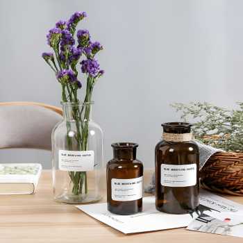 Gambar produk DDSSTORE Vas Bunga Botol Kaca Aesthetic Bottle Vases Flower Pot 500ml - EN549