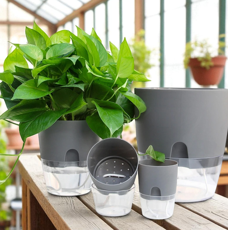 Gambar produk Olize Pot Tanaman Hias Self Watering Flower Pot Hydroponics Plants M - A705/A707