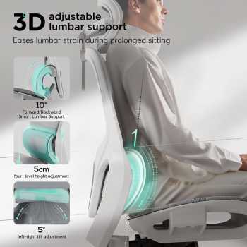 Gambar produk HBADA Kursi Kantor Office Chair 3D Lumbar Support Flexible Armrest - P2 Pro