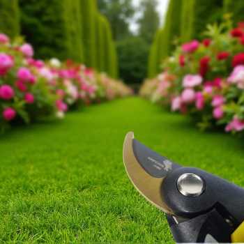 Gambar produk KNIFEZER Gunting Taman Ranting Tumbuhan Bunga Cutting Garden - LN-8002