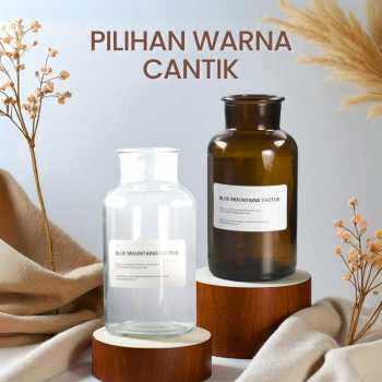 Gambar produk DDSSTORE Vas Bunga Botol Kaca Aesthetic Bottle Vases Flower Pot 500ml - EN549