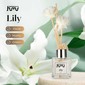 Gambar produk Taffware HUMI Pengharum Ruangan Reed Diffuser with Rattan Sticks 50ml Lily - DF-099