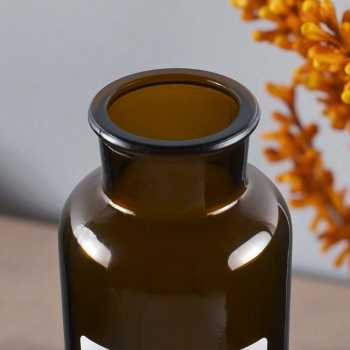 Gambar produk DDSSTORE Vas Bunga Botol Kaca Aesthetic Bottle Vases Flower Pot 500ml - EN549