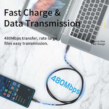 Gambar produk ESSAGER Sunset Kabel Data USB Type C to Type C Fast Charging 60W 1M - EXCTT2-CG01