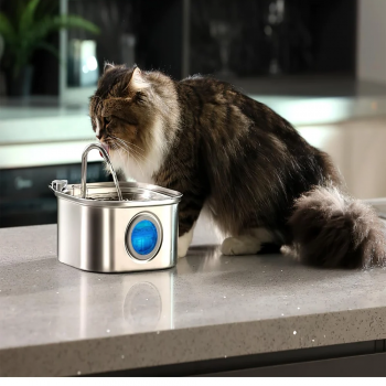 ZYfeeder Pet Water Dispenser Fountain Tempat Minum Kucing Anjing 3.2L - ZY320