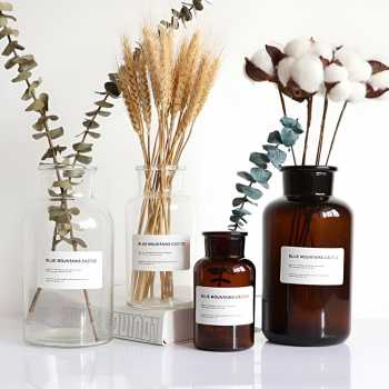 Gambar produk DDSSTORE Vas Bunga Botol Kaca Aesthetic Bottle Vases Flower Pot 500ml - EN549