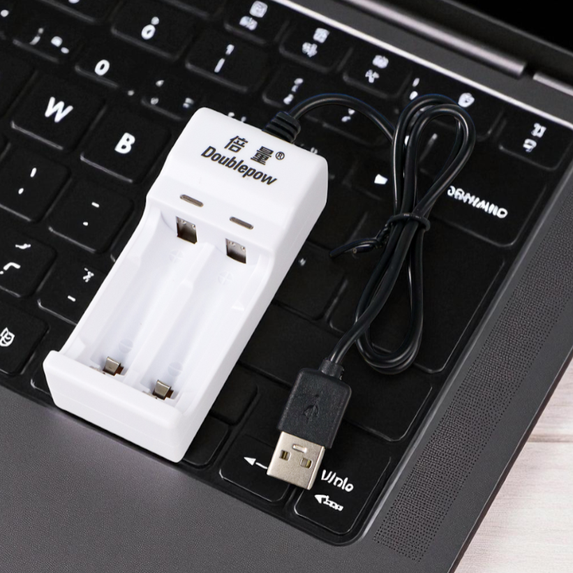 Gambar produk Doublepow Charger Baterai 2 Slot for AA AAA Ni-MH Ni-CD with LED - DP-U21