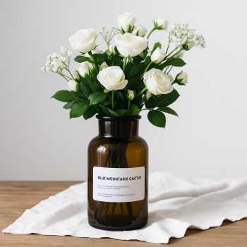 DDSSTORE Vas Bunga Botol Kaca Aesthetic Bottle Vases Flower Pot - EN549