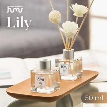 Taffware HUMI Pengharum Ruangan Reed Diffuser with Rattan Sticks 50ml - DF-099